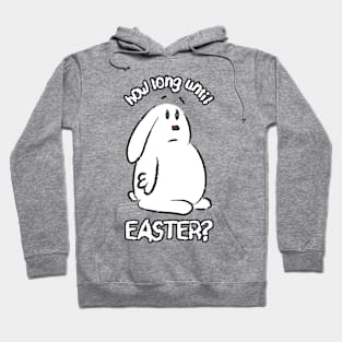 How long until EASTER? Hoodie